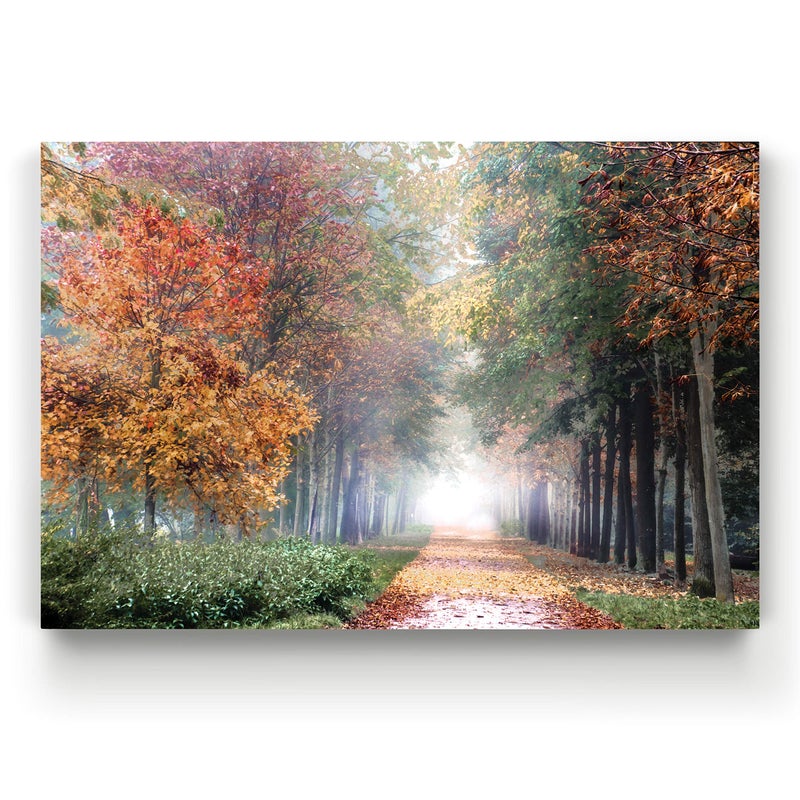 Renditions Gallery Home Wall Art Pictures Pathway through the Misty Autum Forest Canvas Hanging Prints for Living Room Office Decorations - 24"X36" LT08 - Image 5